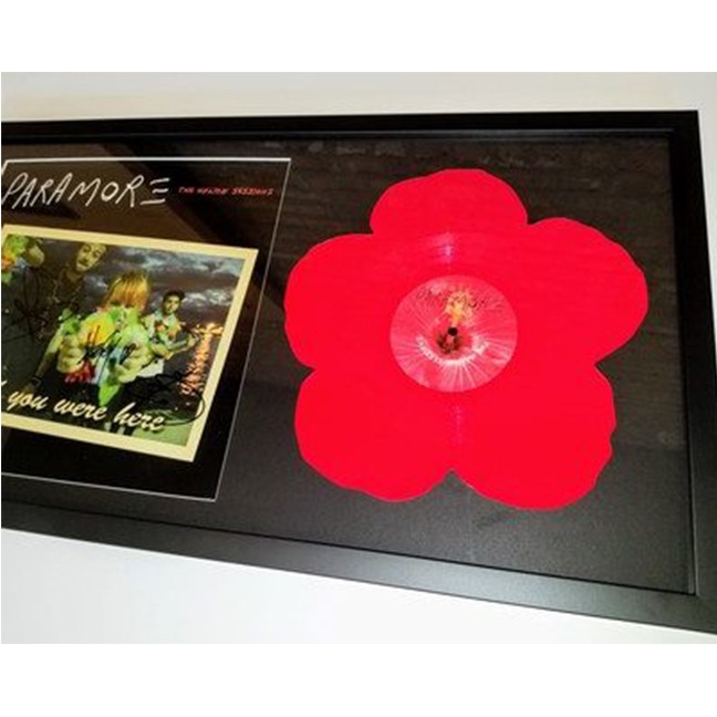 custom framed Paramore Rock Band CD cover
