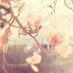 Sunshine Smile by Soffia